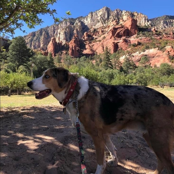 Meet your Posher, Gina - Picture 2 of 2